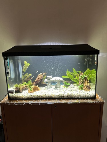 Acquario rettangolare vetro