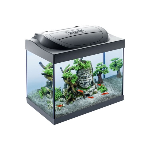 Tetra acquario vetro - tetra,