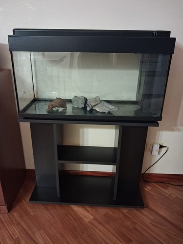Acquario con mobile - mobile, e