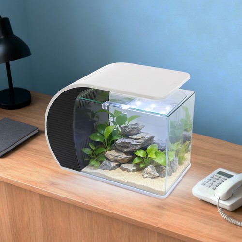 Piccolo acquario vetro - acquario,