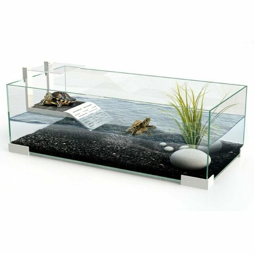 Askoll ciano tartarium cool - askoll,