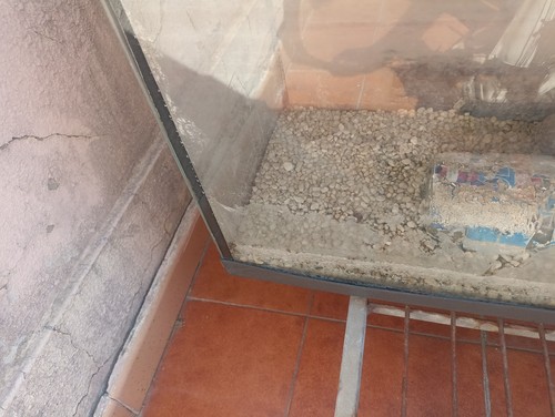 Acquario - acquario,