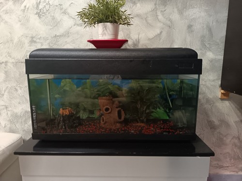 Acquario vetro rettangolare - in,