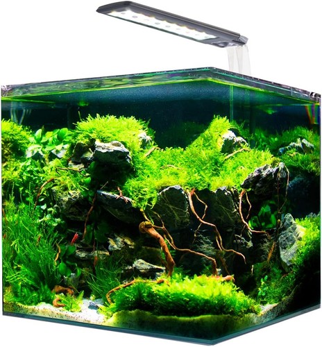 Acquario vetro amtra - acquario, in