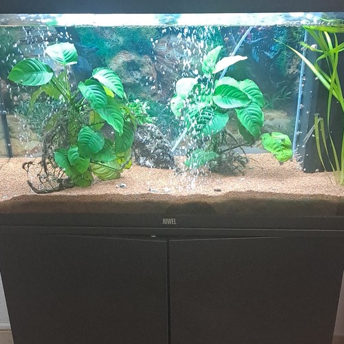 Juwel acquario rettangolare - juwel,