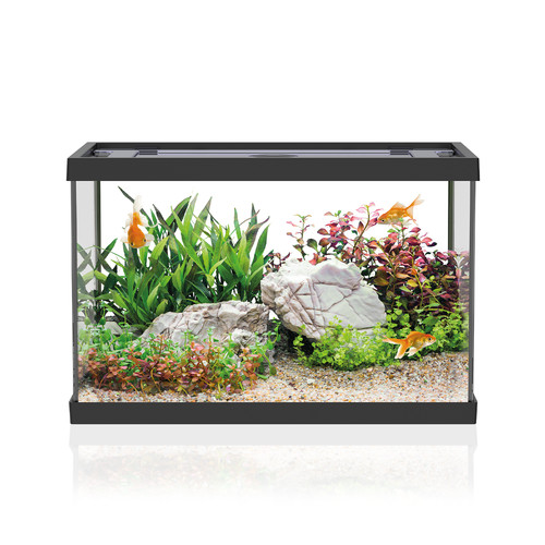 Aqpet acquario one mini - aqpet,