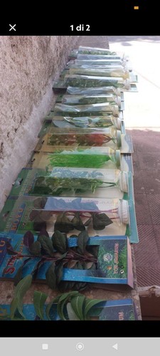 Stock piante finte - stock,