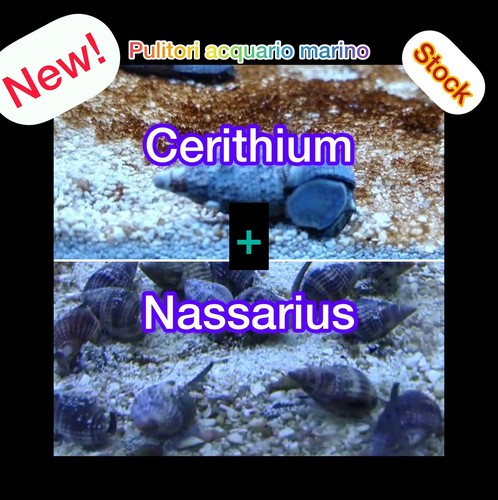 New pack 3 - new!, 5+3