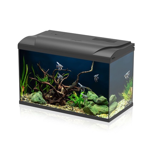 Aqpet acquario acqua dolce - aqpet,