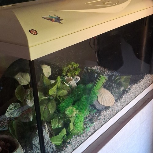 Acquario rettangolare set