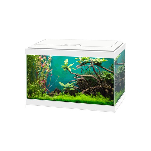 Askoll ciao aqua light led - 20,