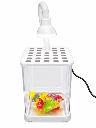 Mini acquario rettangolare - acquario,