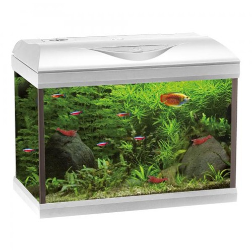Acquario completo amtra - completo, basic