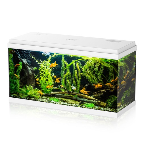 Simply 100 acquario completo - simply,