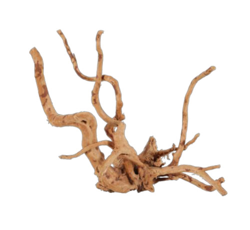 Radice naturale red wood 40 - radice,