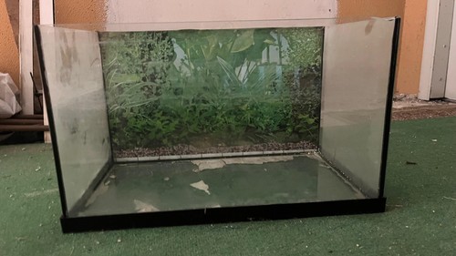 Acquario rettangolare litri - rettangolare,