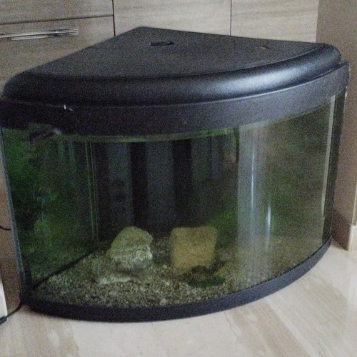 Acquario vuoto