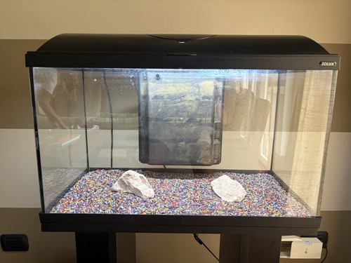 Acquario 60l zolux con filtro - acquario,