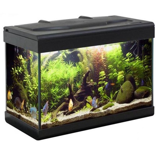 Acquario mtb aloha ledline - acquario,