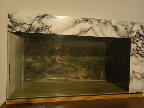 Vendo bellissimo acquario