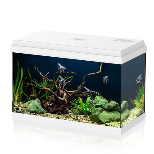 Simply acquario completo - simply,