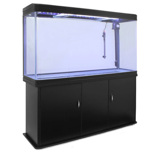 Acquario grande per - acquario, ufficio