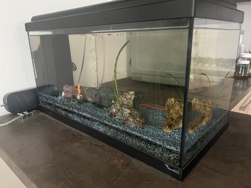 Aquatlantis acquario - aquatlantis,
