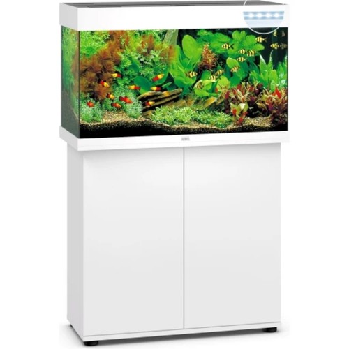 Acquario juwel rio - acquario,