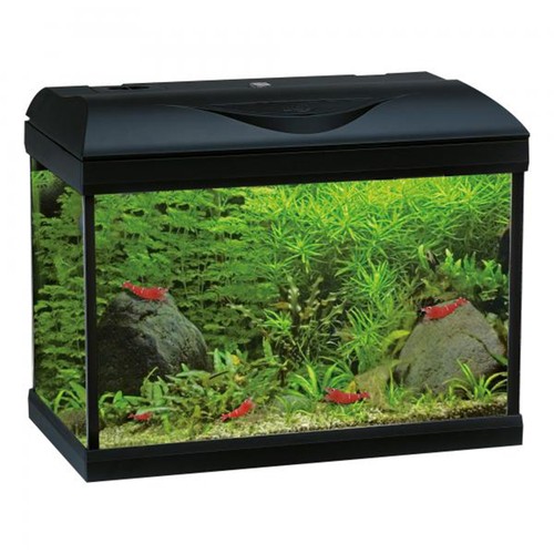 Acquario completo amtra - completo, basic