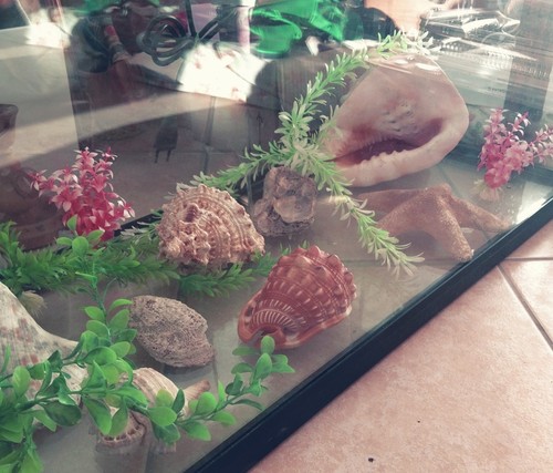 Acquario wave - acquario,