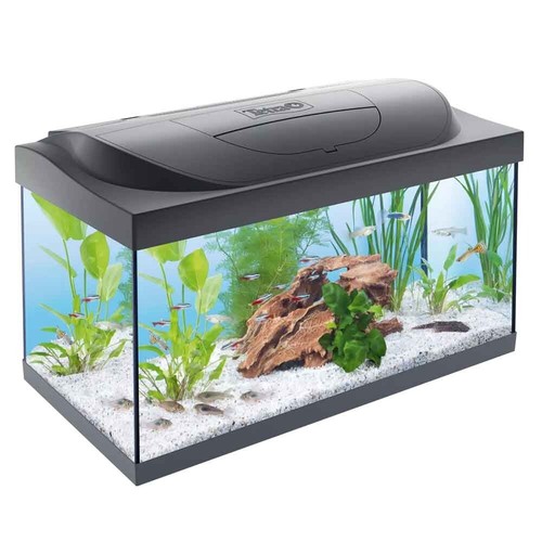 Tetra acquario starter line - acquario,
