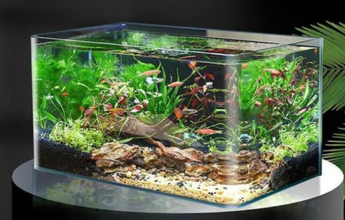 Acquari acquario vuoto 18l - gd,